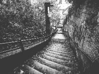 Alexanderove stube 31. listopada 2017. godine  Stube Šandora Alexandera povezuju Dežmanov prolaz i Rokov perivoj. Stube su nazvane po Šandoru Alexanderu, članu ugledne zagrebačke židovske obitelji industrijalaca i filantropa Alexander. Danas su jedna od prepoznatljivih pješačkih veza između Britanskog trga i mirnog, stambenog dijela Rokovog perivoja. Nalaze se pokraj stambeno-poslovne zgrade u Dežmanovoj 9, koja je također dio ostavštine obitelji Alexander.